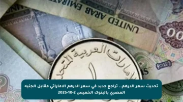 تحديث سعر الدرهم.. تراجع جديد في سعر الدرهم الإماراتي مقابل الجنيه المصري بالبنوك الخميس 2-10-2025